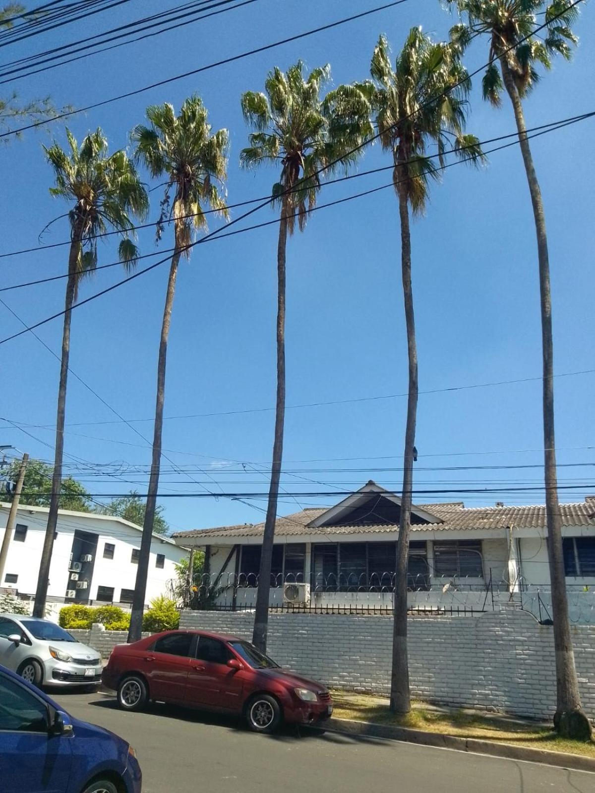Comfort Home Escalon San Salvador Exterior photo